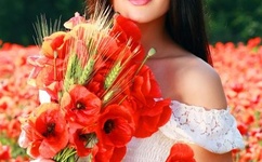 小说推荐让人脸红心跳